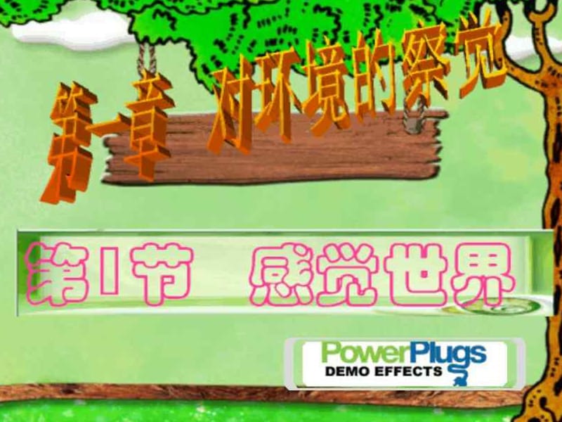 节感觉世界.ppt_第1页