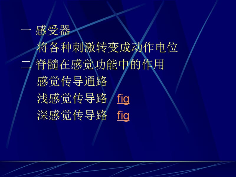 九章神经系统.ppt_第3页