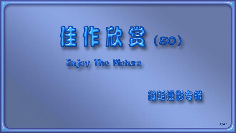 精美摄影佳作欣赏2.ppt_第1页