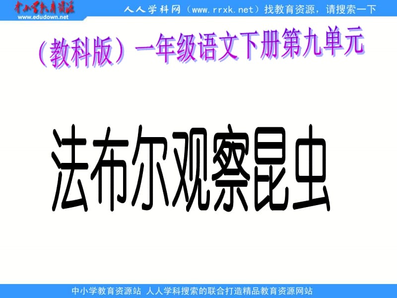 教科版一年级下册法布尔观察昆虫课件1.ppt_第1页