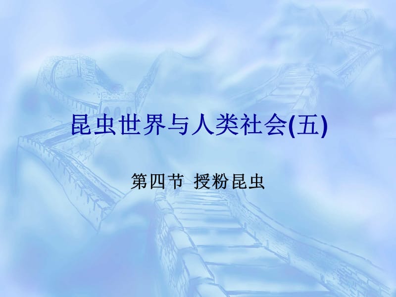 昆虫世界与人类社会五 (2).ppt_第1页