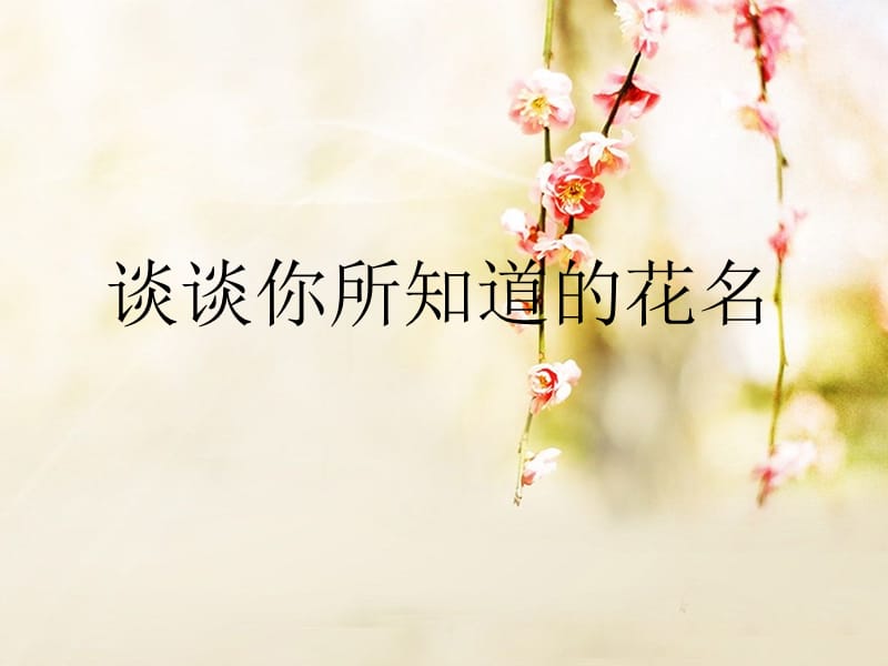 各种各样的花ppt课件.ppt_第2页