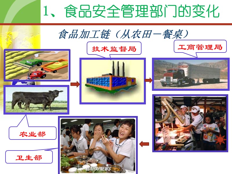 建立食品安全法下的辐照食品安全体系.ppt_第3页