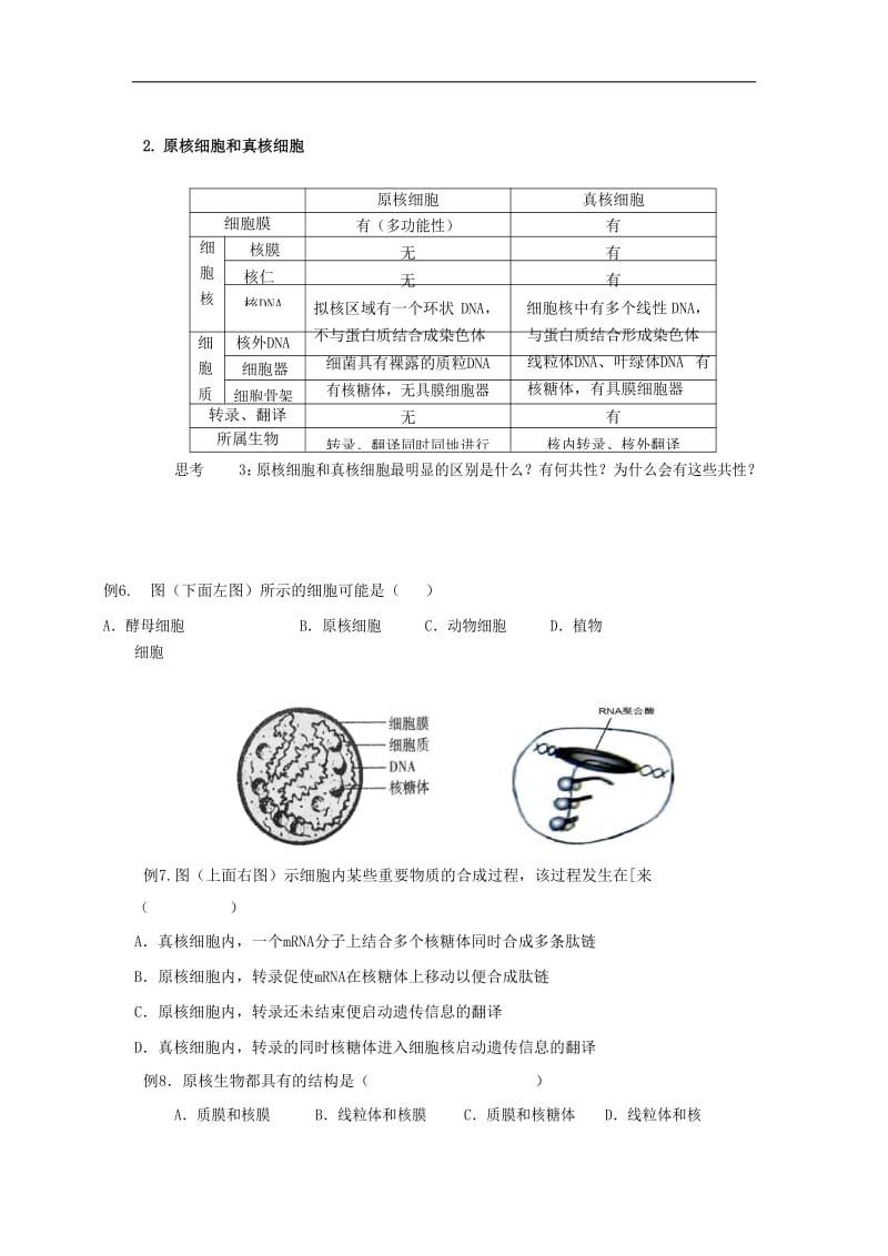 2018版高中生物总复习第1章走近细胞讲义新人教版必修120170815260.doc_第3页