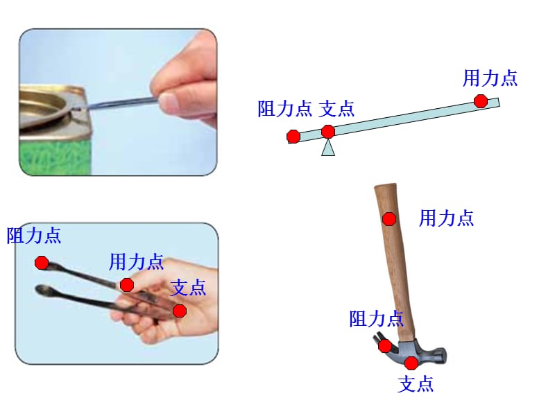 教科版六年级上册一单元3课.ppt_第3页