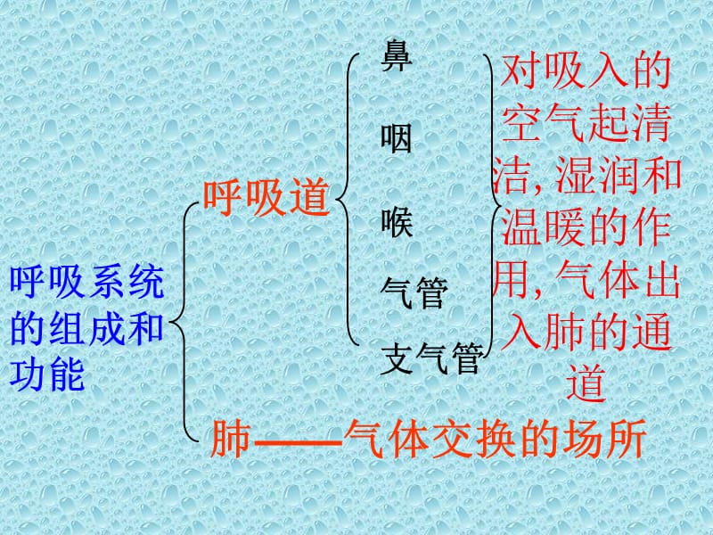 教学设想.ppt_第2页