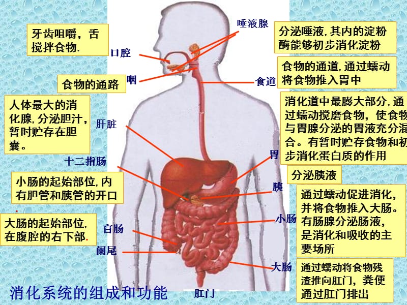 教学设想.ppt_第3页