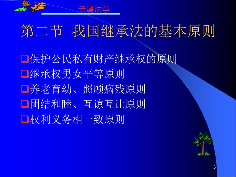 九章节继承法概述.ppt_第3页