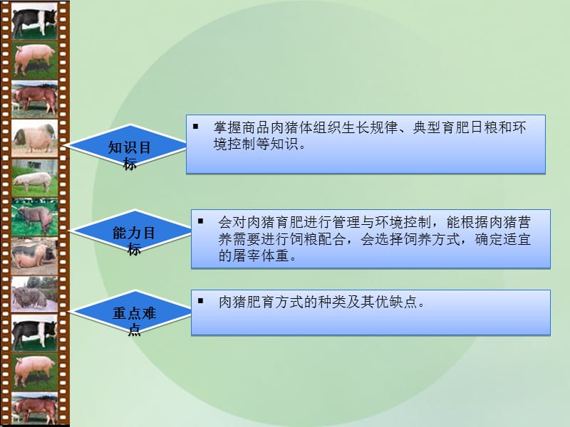 教学情境六肉猪生产单元一肉猪的饲养管理技术.ppt_第2页