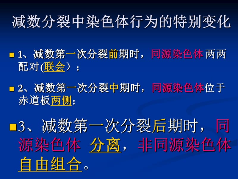 减数分裂VS有丝分裂.ppt_第2页