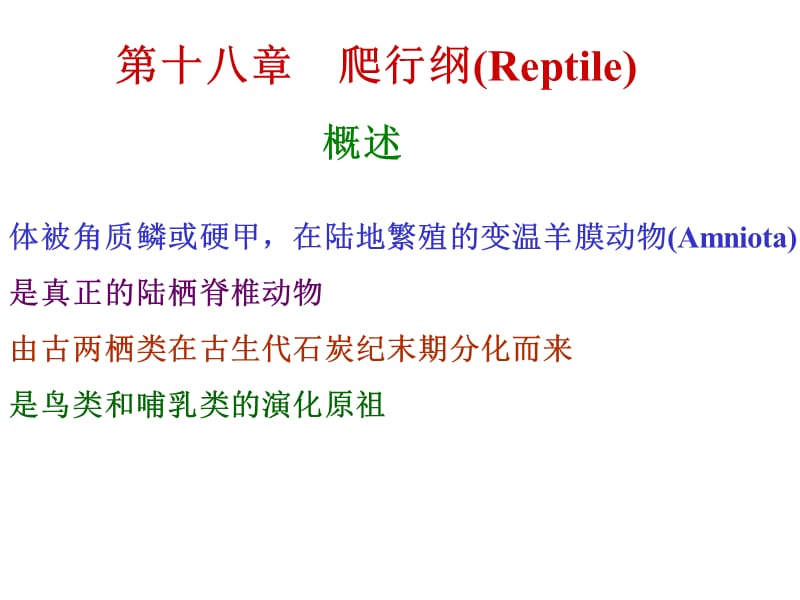 第十八爬行纲Reptile.ppt_第1页