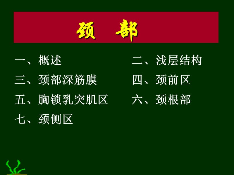 局解课件颈.ppt_第1页