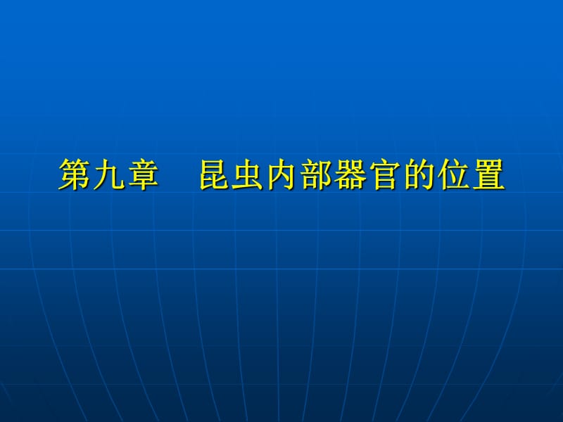 九章昆虫内部器官的位置.ppt_第1页