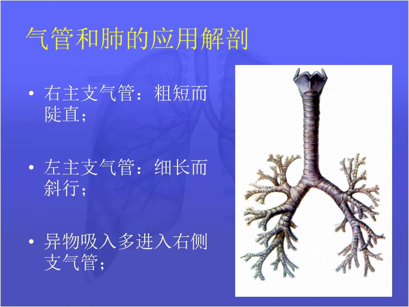 肺部疾病.ppt_第3页