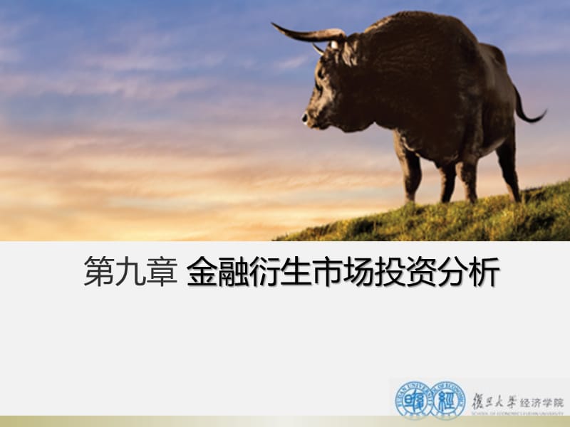 九章金融衍生市场投资分析.ppt_第1页