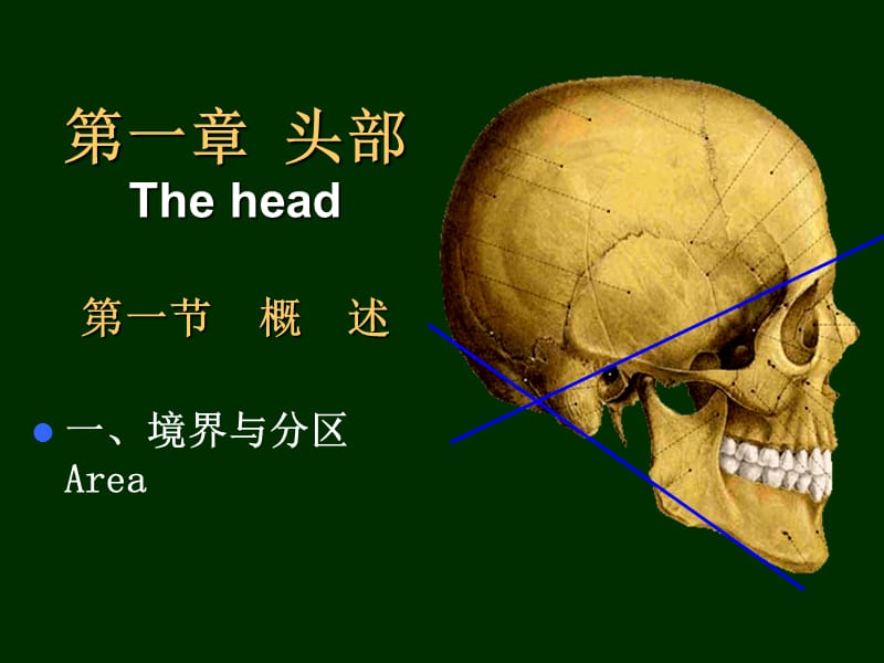 局解头部.ppt_第2页