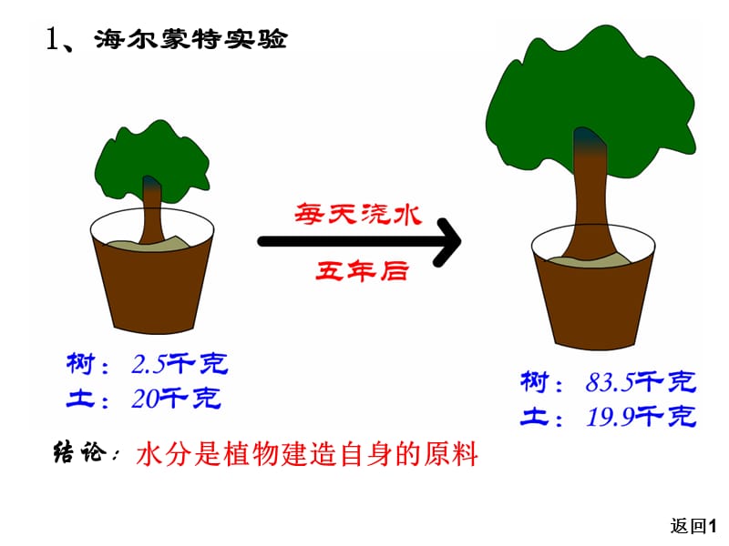 光合原理和应用ppt.ppt_第3页