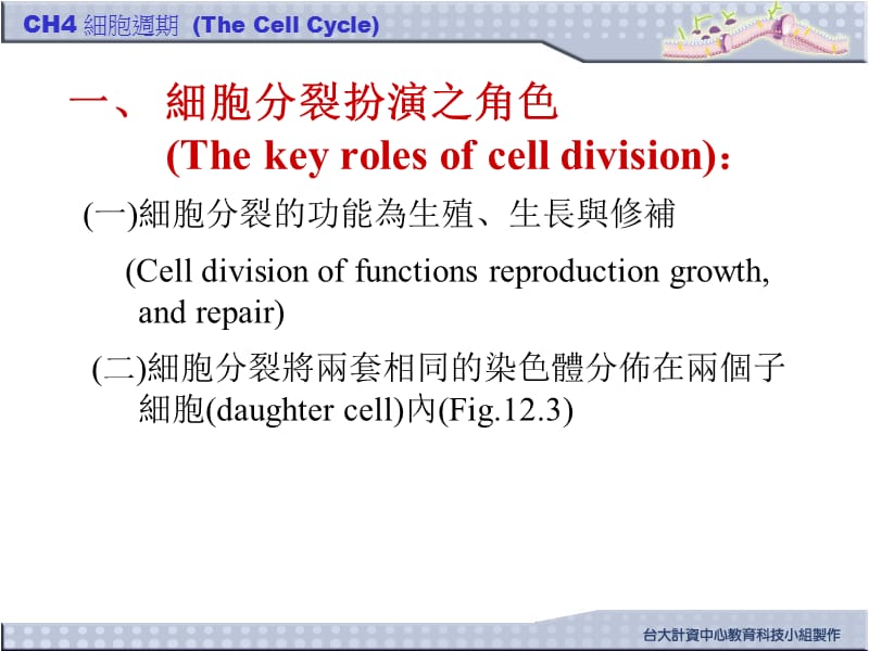 四章細胞週期thecellcycle.ppt_第2页