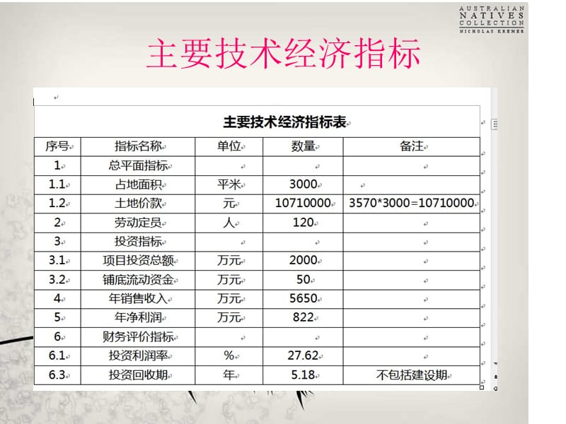 果汁厂生产建设条件评估.ppt_第2页