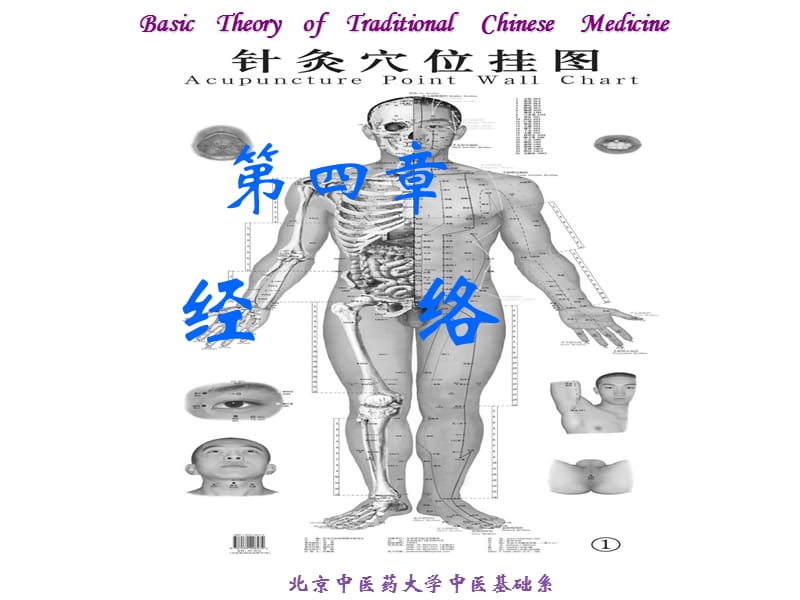 经络学说.ppt_第1页