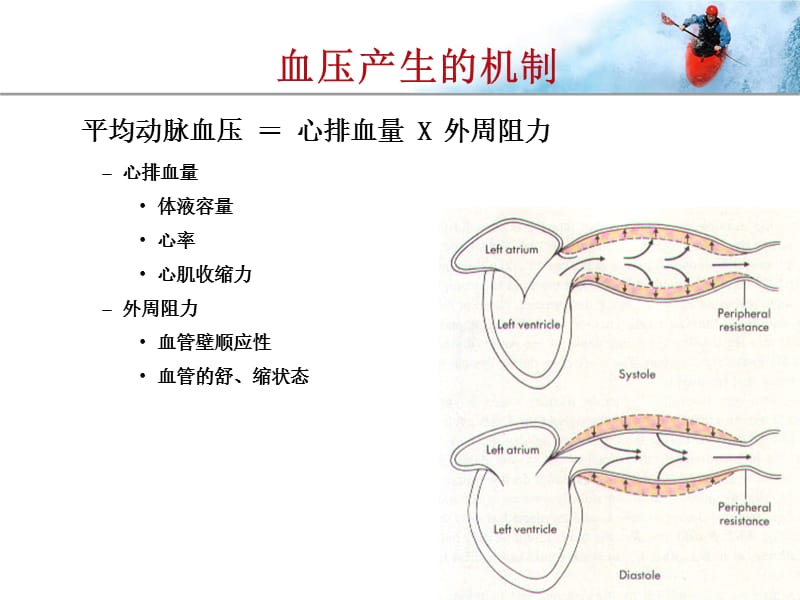 高血压基础知识部分.ppt_第3页