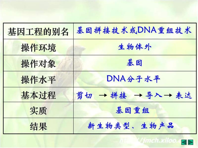 高中生物选修三专题复习.ppt.ppt_第3页