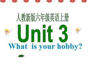 人教新版英语六上Unit3What’syourhobby课件.ppt