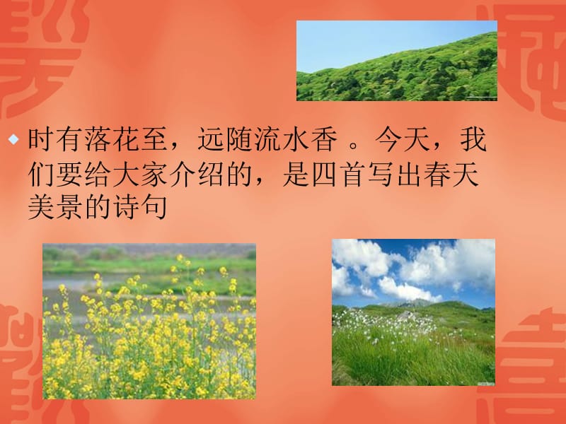 帅研小组.ppt_第3页