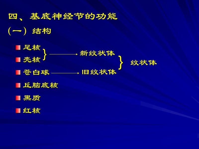 四基底神经节的功能.ppt_第1页