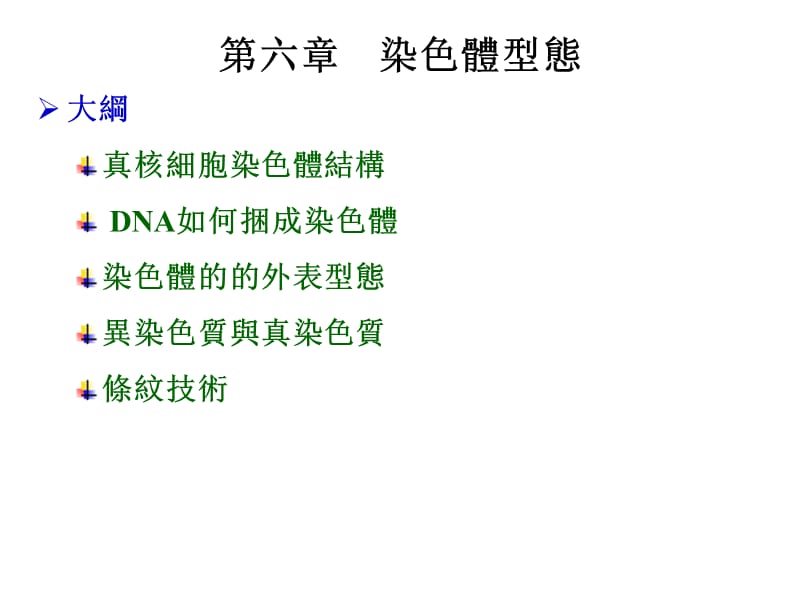 六章节染色体型态.ppt_第1页