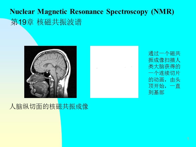 核磁共振波谱(本硕).ppt_第1页