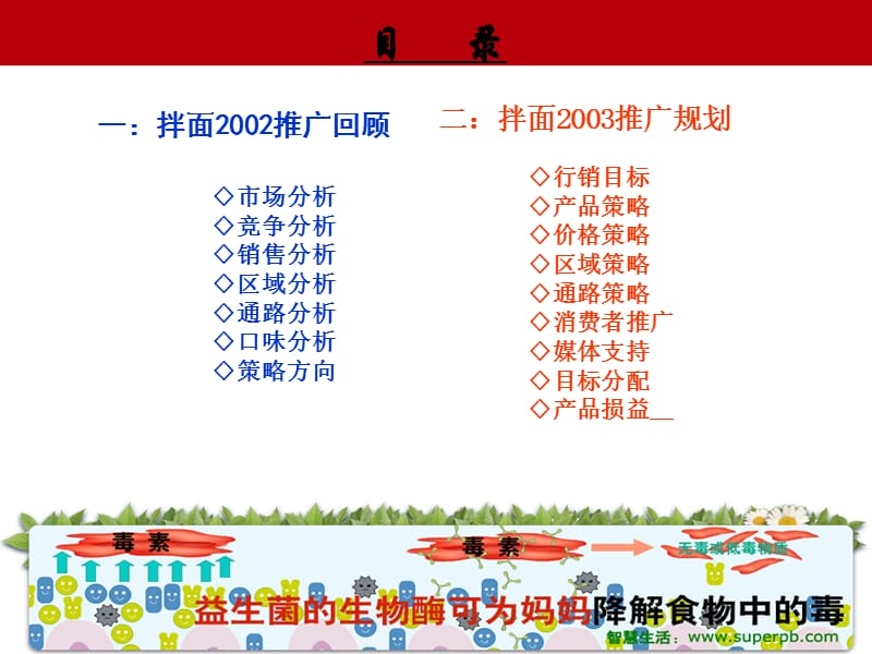 世界强市场推广技巧.ppt_第2页