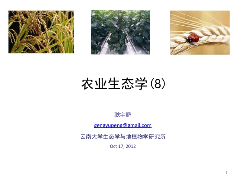 农业生态学8能流ppt课件.ppt_第1页