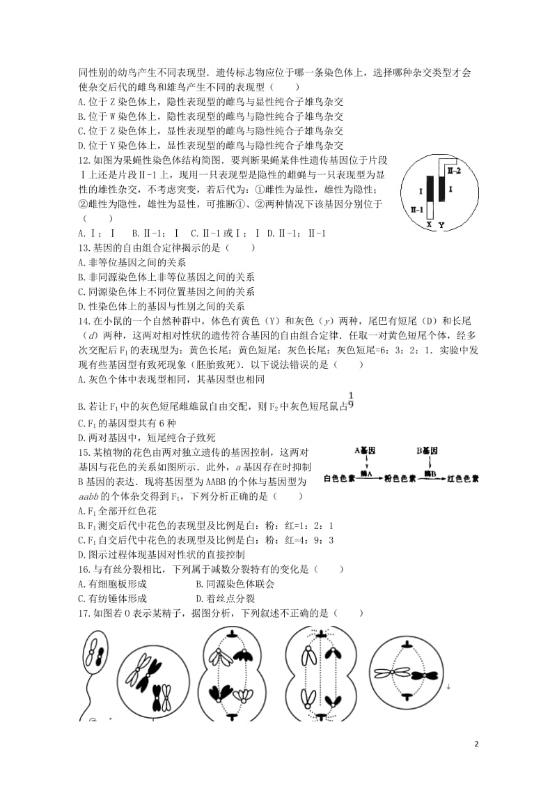 黑龙江省青冈县2016_2017学年高一生物下学期期中试题201708080151.doc_第2页