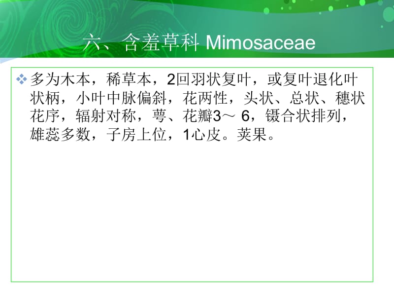 六含羞草科Mimosaceae.ppt_第1页