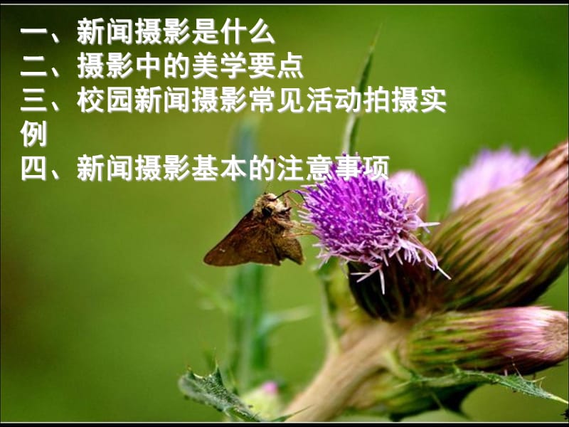 启航网之校园摄影技巧.ppt_第2页