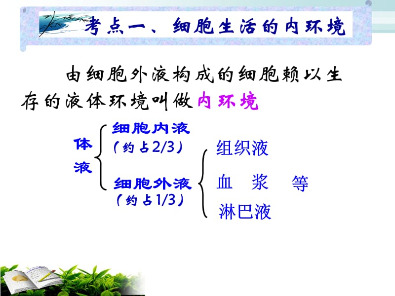 人体内环境和稳态.ppt_第2页