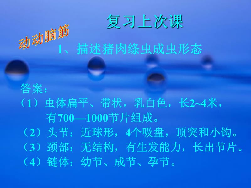 授课课题细粒棘球绦虫.ppt_第2页