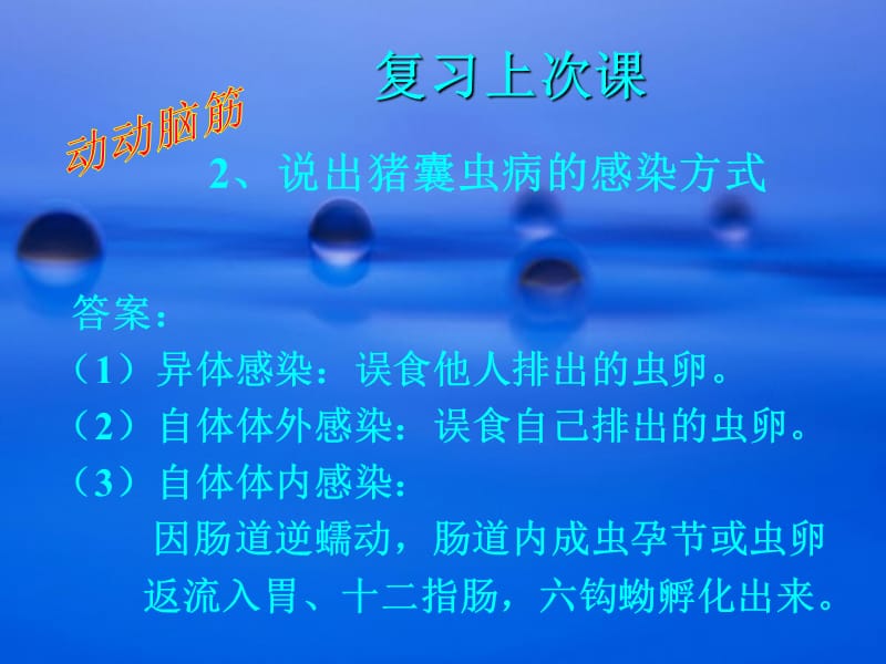 授课课题细粒棘球绦虫.ppt_第3页