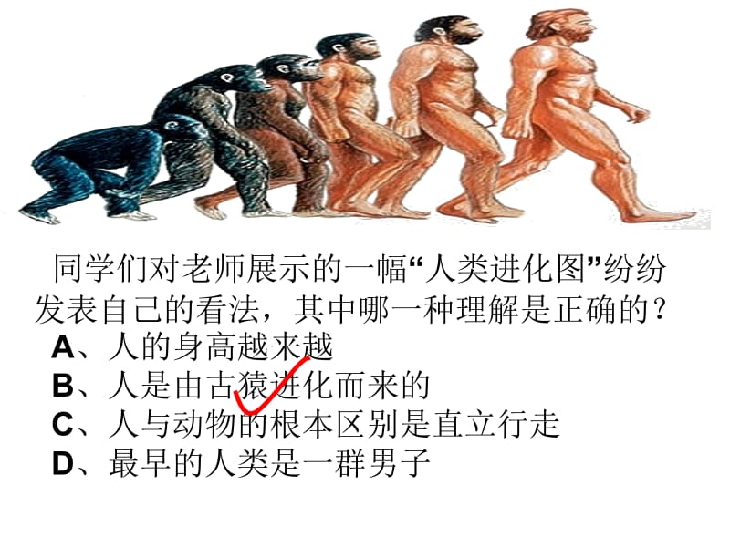 同学们对老师展示的一幅人类进化图纷纷发表自己的看.ppt_第2页