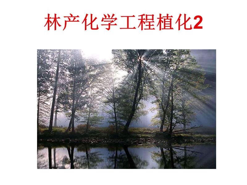 林产化学工程植化2.ppt_第1页