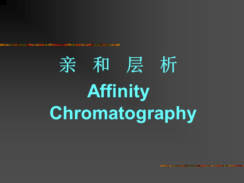 亲和层析AffinityChromatography.ppt_第1页