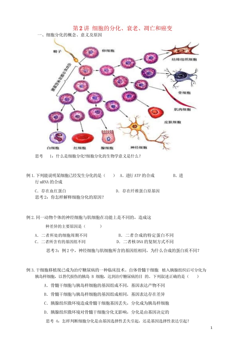 2018版高中生物总复习第6章细胞的生命历程第2讲细胞的分化讲义新人教版必修120170815245.wps_第1页