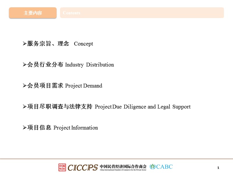 加强国际合作促进项目服务EnhancingInternationalCooperat精品PPT.ppt_第2页