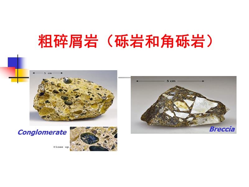 粗碎屑岩（砾岩和角砾岩）.ppt_第1页