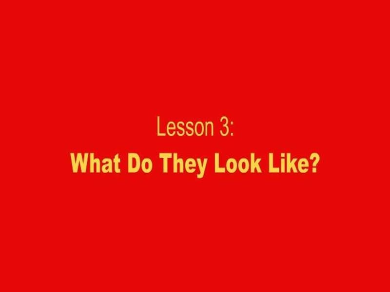 冀教版五年级上unit1Lesson3WhatDoTheyLookLike课件.ppt_第1页