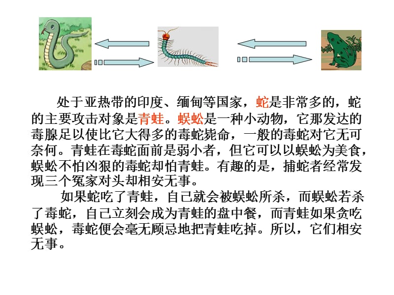 七课唯物辩证法的联系观.ppt_第3页