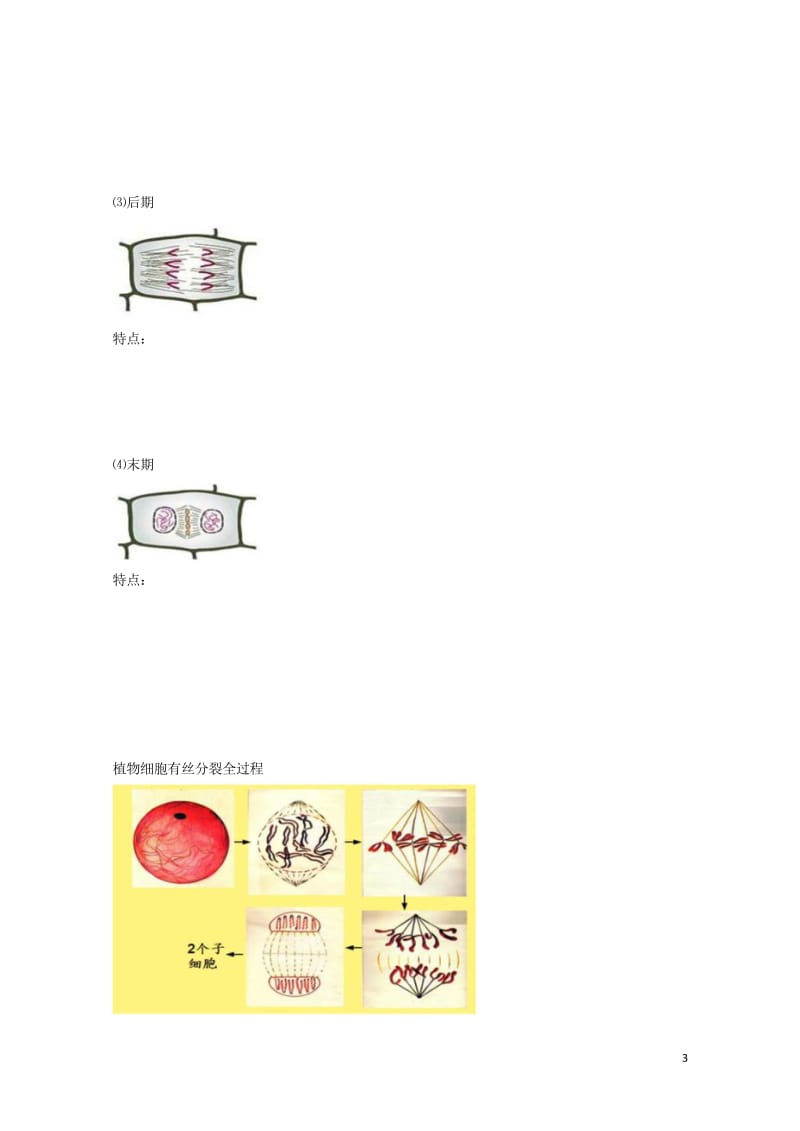 北京市第四中学2017届高考生物专题复习1细胞的增殖学案20170817157.wps_第3页