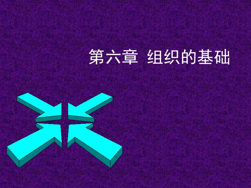 六章组织的基础.ppt_第1页