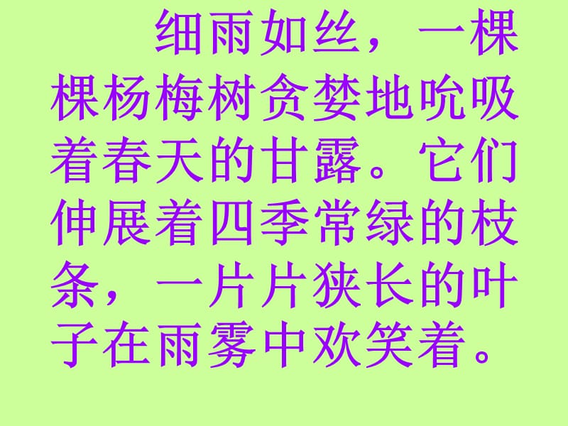 南麻四小学张宗花.ppt_第3页